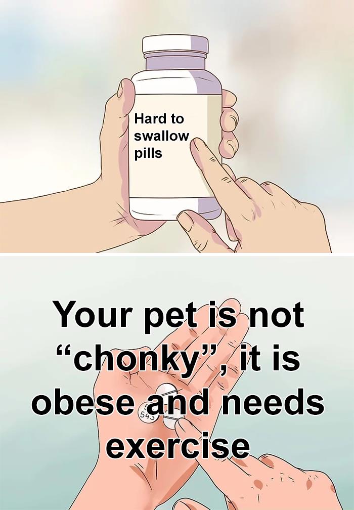 Illustration of hard to swallow pills and a message about pets being obese and needing exercise, highlighting true but hard to hear facts.