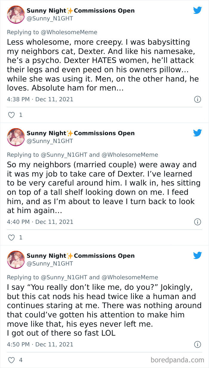 People-Share-Intelligent-Things-Their-Pets-Did