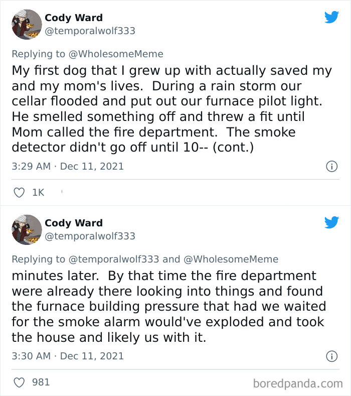 People-Share-Intelligent-Things-Their-Pets-Did