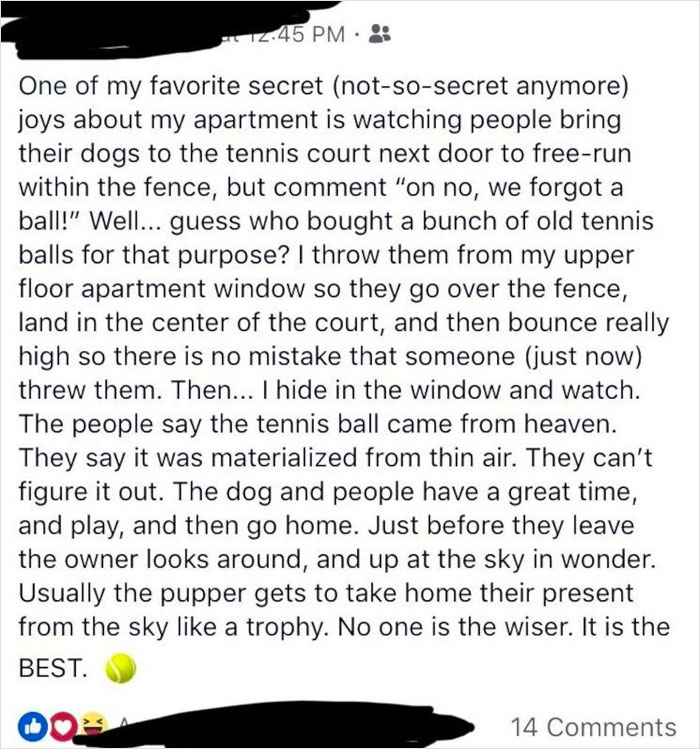 Heartwarming story of a neighbor secretly throwing tennis balls for dogs to fetch in a fenced tennis court.