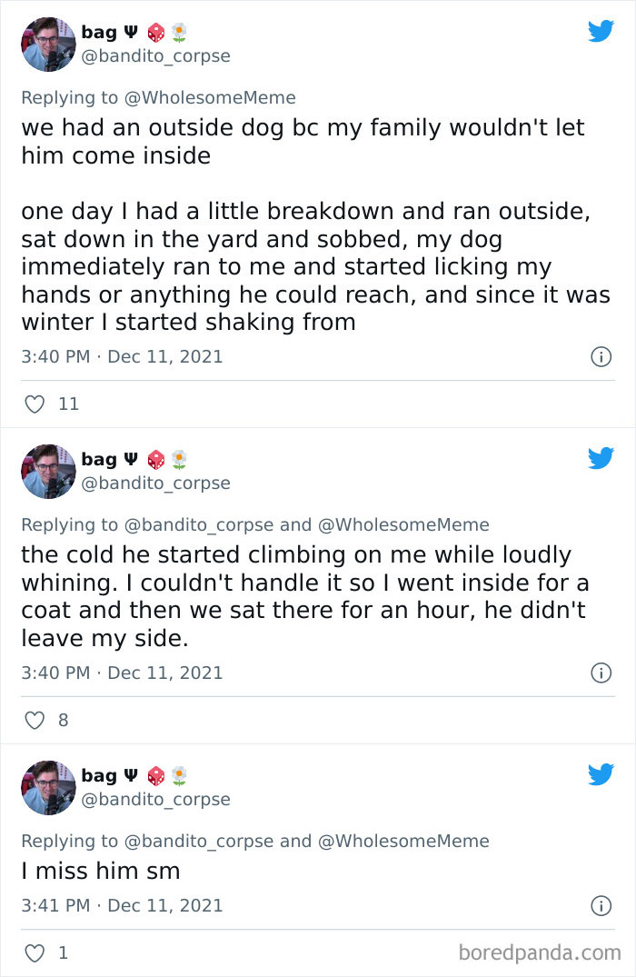 People-Share-Intelligent-Things-Their-Pets-Did