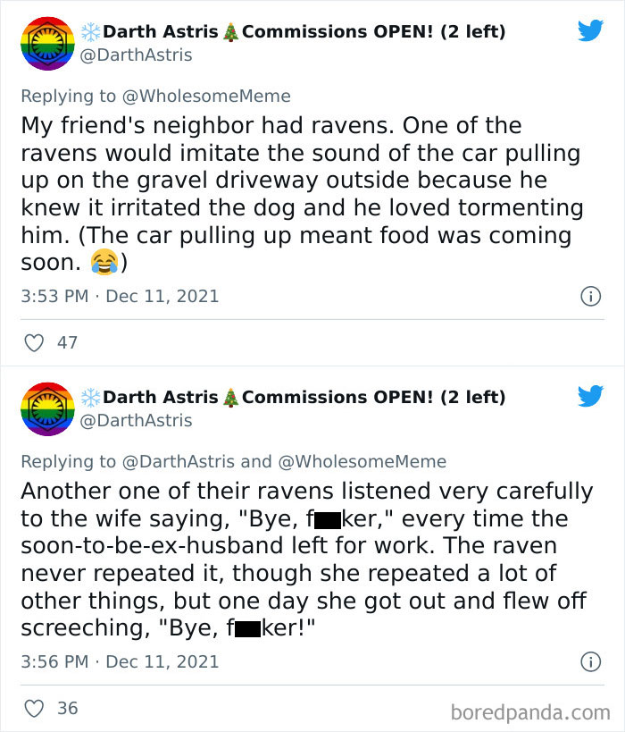 People-Share-Intelligent-Things-Their-Pets-Did