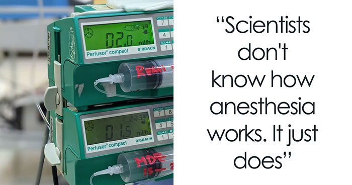 40 Random Facts That Sound Fake But Aren’t, Shared In This Online Thread