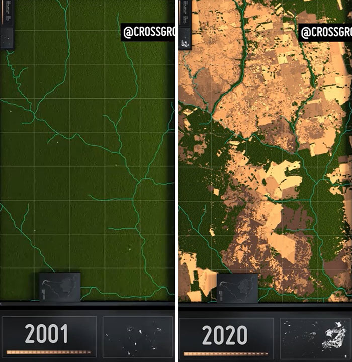 20 años de deforestación en el Amazonas