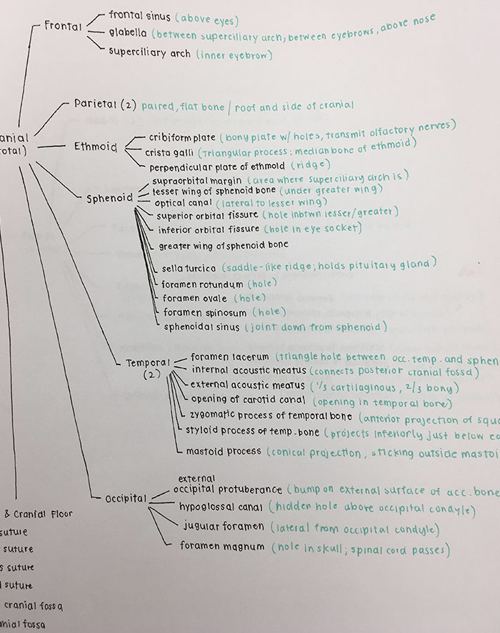 My Friend's Neat Handwriting