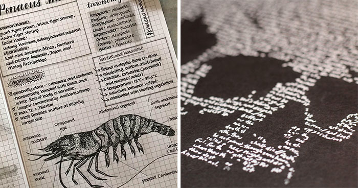 40 Times People Had Such Perfect Handwriting, It Gave Everyone An Eyegasm (New Pics)