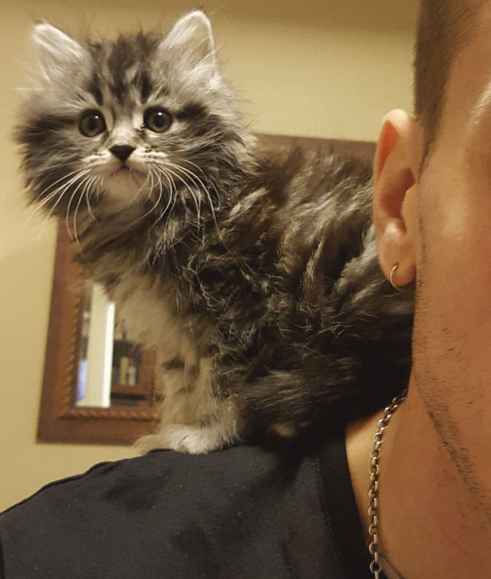 25 Mascotas que hacen cosas extrañas y divertidas, pero sus dueños dicen que nadie les cree