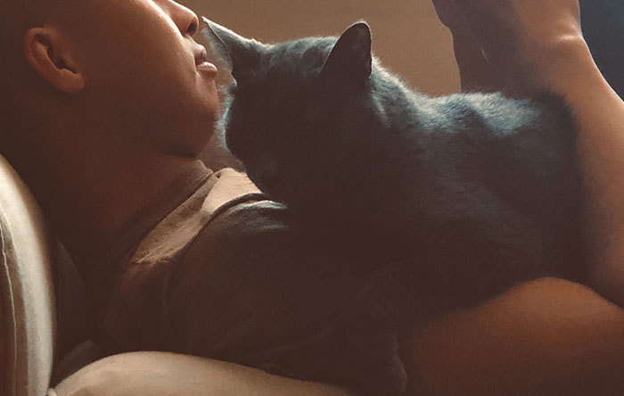 40 Funny And Bizarre Things Pets Do According To Their Owners Who Claim That Nobody Believes Them