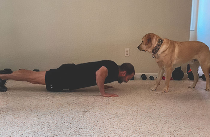 25 Mascotas que hacen cosas extrañas y divertidas, pero sus dueños dicen que nadie les cree