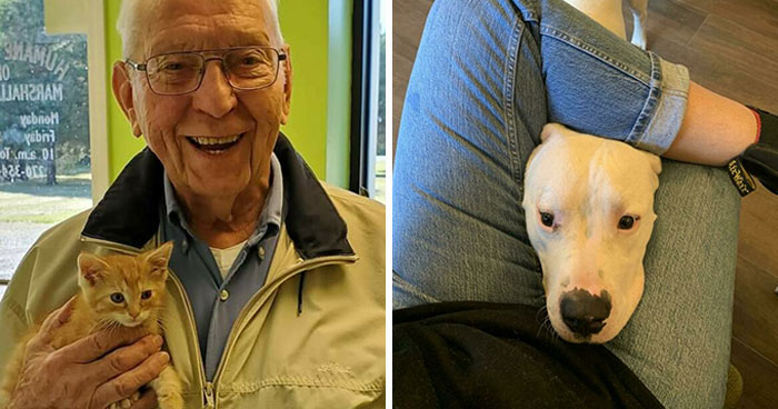 50 Of The Most Wholesome Rescue Pet Photos This December