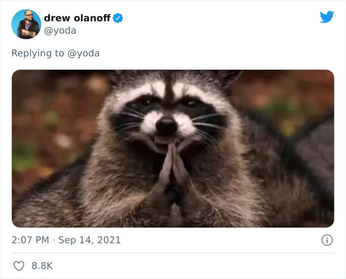 Mission "Raccoon Removal": This Guy&rsquo;s Live Tweets About How He&rsquo;s Trying To Get A Raccoon Out Of His House Are Seriously Hilarious