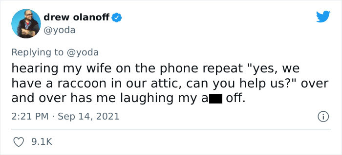 Mission "Raccoon Removal": This Guy&rsquo;s Live Tweets About How He&rsquo;s Trying To Get A Raccoon Out Of His House Are Seriously Hilarious