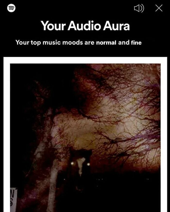 Spotify-Wrapped-Memes-2021