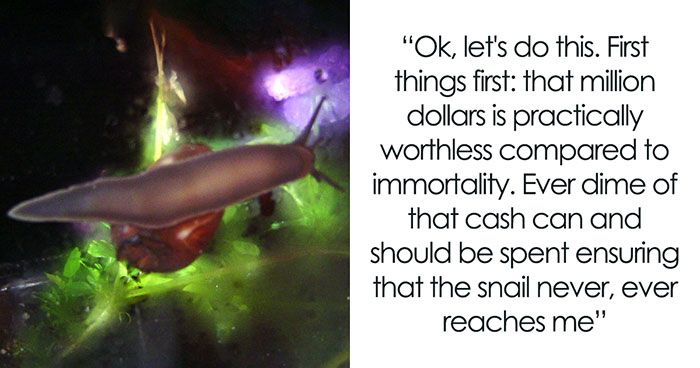 Guy Tells Insanely Elaborate Plan On How He’d Get Away From An Assassin Snail For His Entire Immortal Life