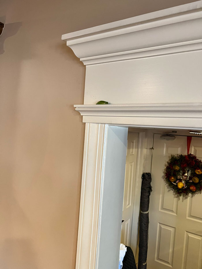 Guy Tweets Adorable Story Of How He Ended Up Adopting A Tiny Tree Frog He Discovered In His Lettuce Box