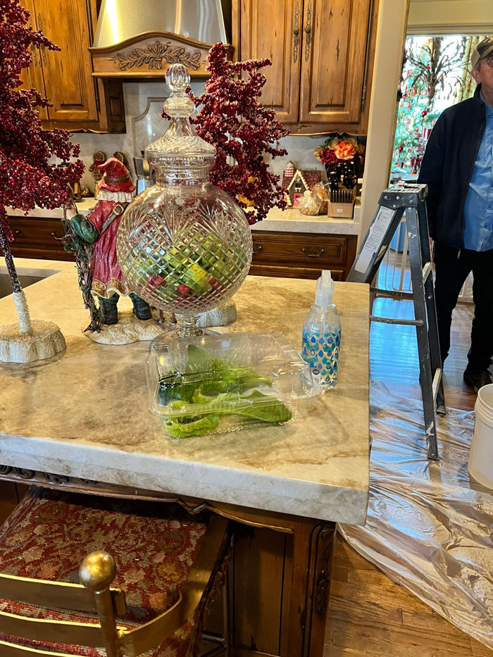 Guy Tweets Adorable Story Of How He Ended Up Adopting A Tiny Tree Frog He Discovered In His Lettuce Box