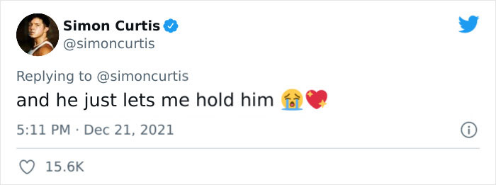 Guy Tweets Adorable Story Of How He Ended Up Adopting A Tiny Tree Frog He Discovered In His Lettuce Box