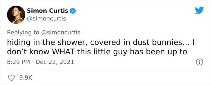 Guy Tweets Adorable Story Of How He Ended Up Adopting A Tiny Tree Frog He Discovered In His Lettuce Box