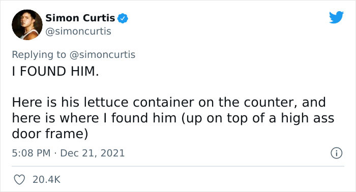 Guy Tweets Adorable Story Of How He Ended Up Adopting A Tiny Tree Frog He Discovered In His Lettuce Box