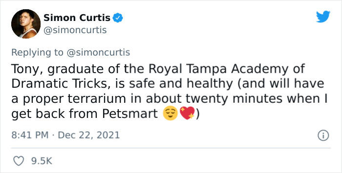 Guy Tweets Adorable Story Of How He Ended Up Adopting A Tiny Tree Frog He Discovered In His Lettuce Box