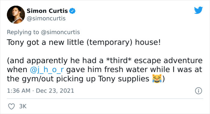 Guy Tweets Adorable Story Of How He Ended Up Adopting A Tiny Tree Frog He Discovered In His Lettuce Box
