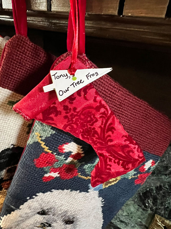 Guy Tweets Adorable Story Of How He Ended Up Adopting A Tiny Tree Frog He Discovered In His Lettuce Box