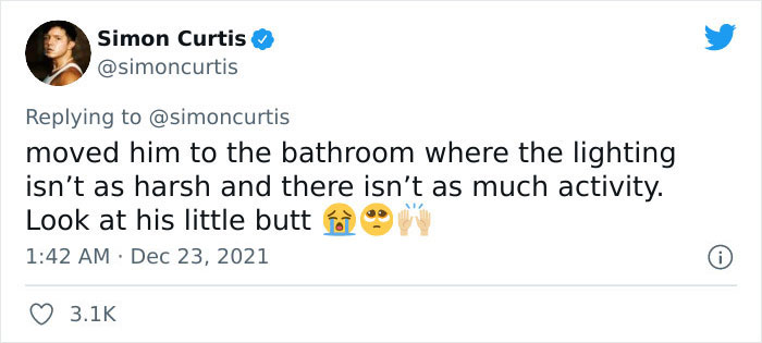 Guy Tweets Adorable Story Of How He Ended Up Adopting A Tiny Tree Frog He Discovered In His Lettuce Box