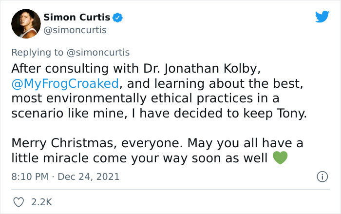 Guy Tweets Adorable Story Of How He Ended Up Adopting A Tiny Tree Frog He Discovered In His Lettuce Box