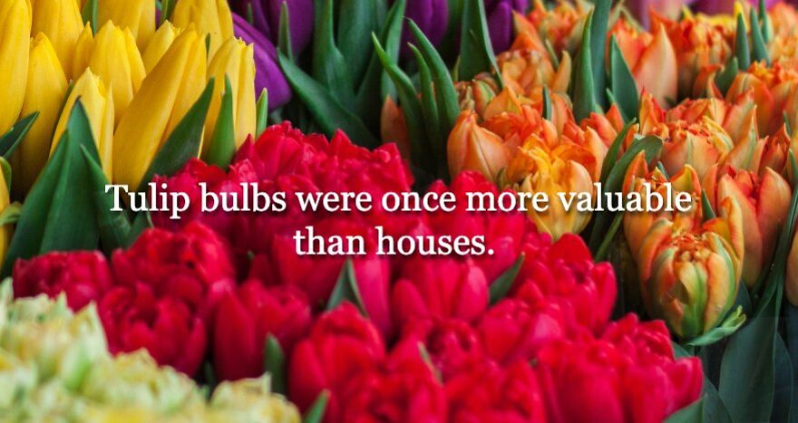 6 Every Day Items That Were Once Unaffordable To Most 6 Every Day Items That Were Once Unaffordable To Most