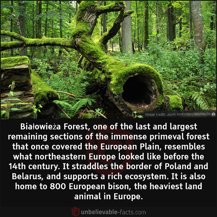 Unbelievable-Interesting-Facts