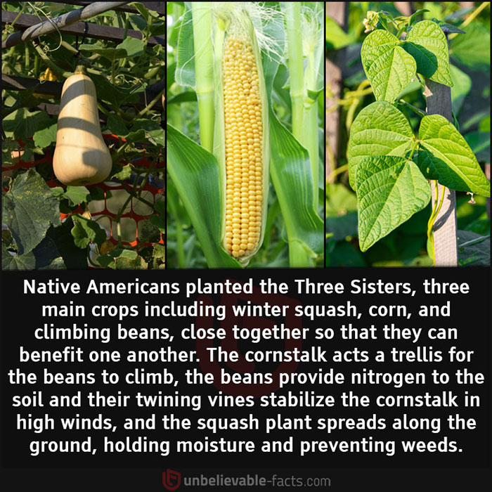 Unbelievable-Interesting-Facts