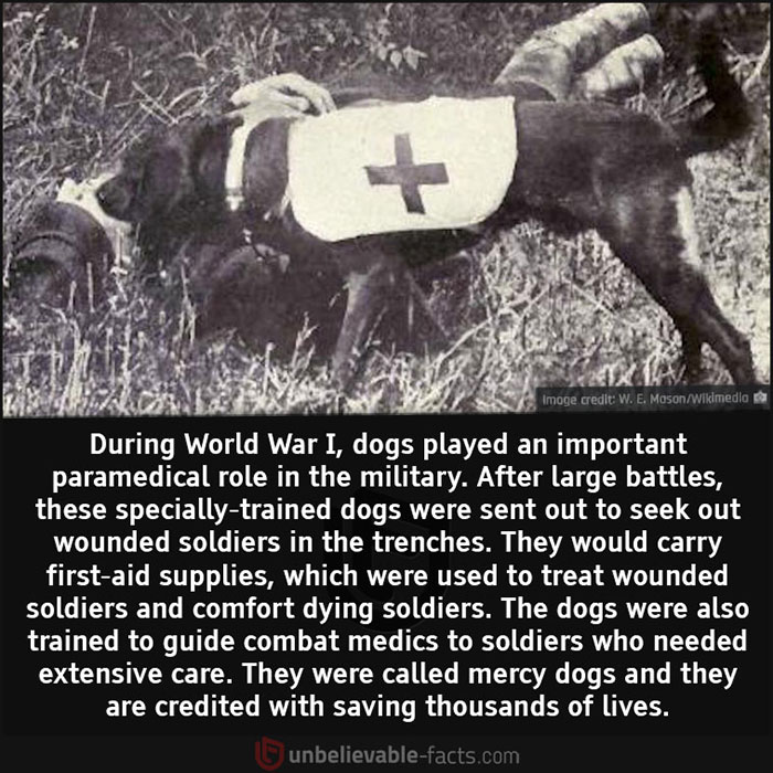 Unbelievable-Interesting-Facts