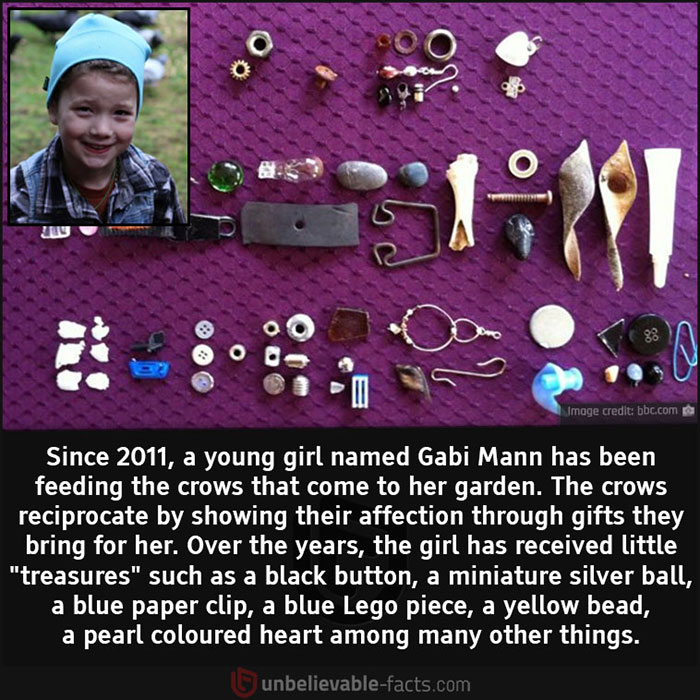 Unbelievable-Interesting-Facts