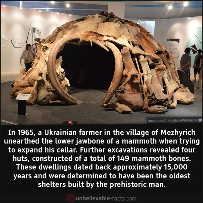 Unbelievable-Interesting-Facts