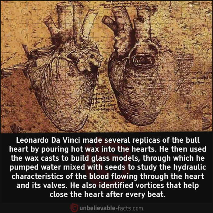 Unbelievable-Interesting-Facts