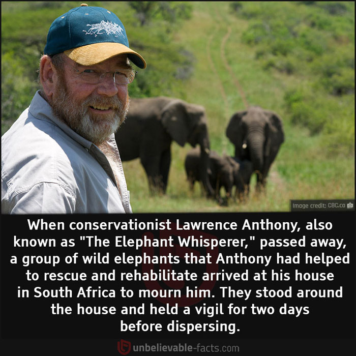 Unbelievable-Interesting-Facts