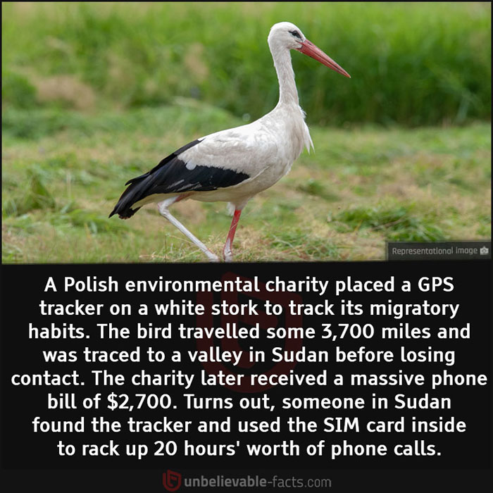 Unbelievable-Interesting-Facts