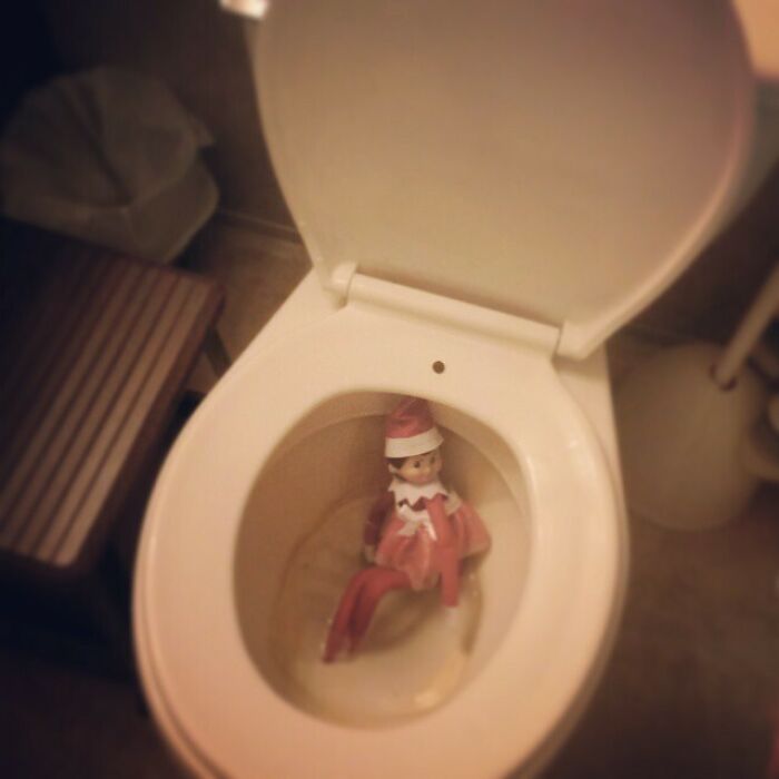 Elfette Took A Chocolate Chip Dump But Fell In (Not Intentional!!!)