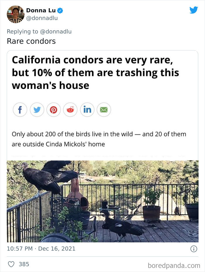 Weirdest-News-Stories-2021