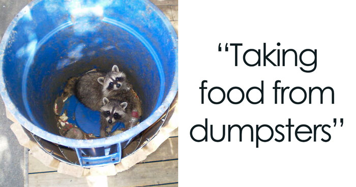 30 Answers Folks In This Online Group Had To The Question “What Is Something That Is Illegal But Isn’t Wrong Ethically?”