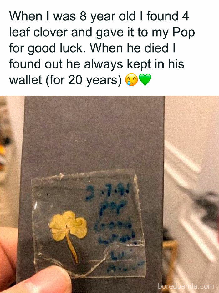 Pressed four-leaf clover kept in a wallet for 20 years, a heartwarming picture from wholesome internet moments.