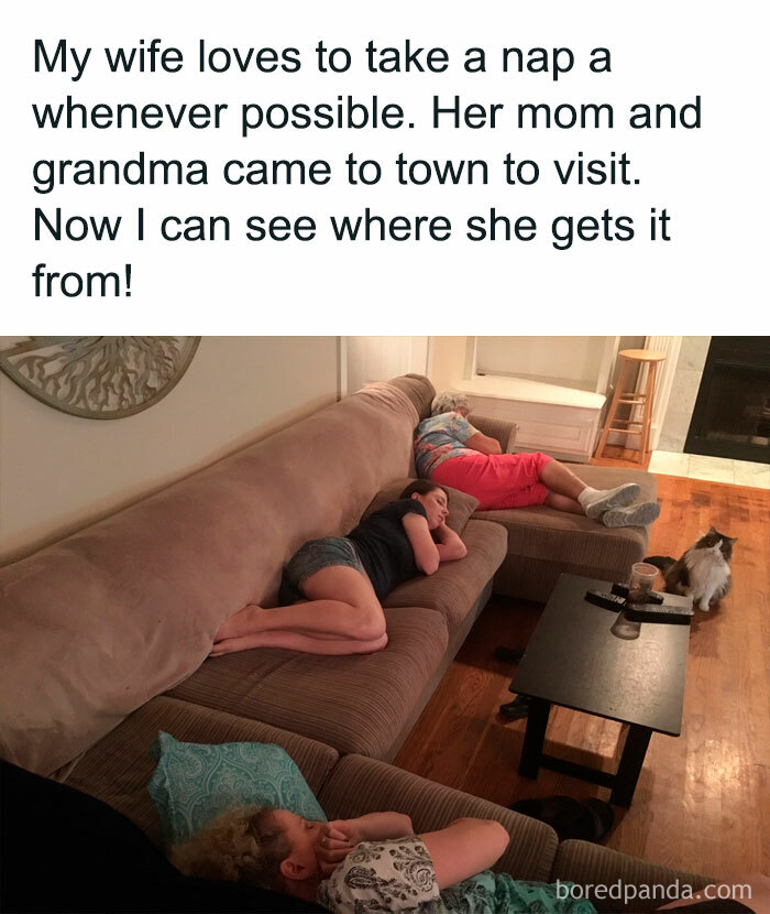 Three generations napping together on couches in a cozy living room, a wholesome moment from the internet.