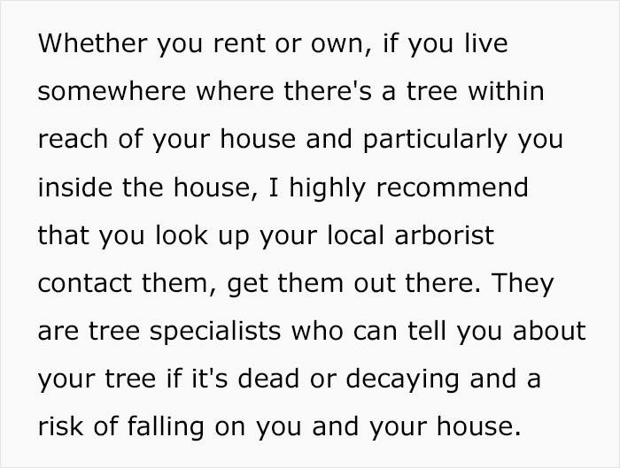 Woman Buys A House From Hell Where Random Disasters Keep Happening Which, In The End, Gets Destroyed By A Huge Tree Falling On It 