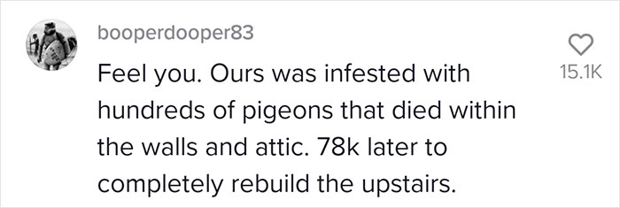 Woman Buys A House From Hell Where Random Disasters Keep Happening Which, In The End, Gets Destroyed By A Huge Tree Falling On It 