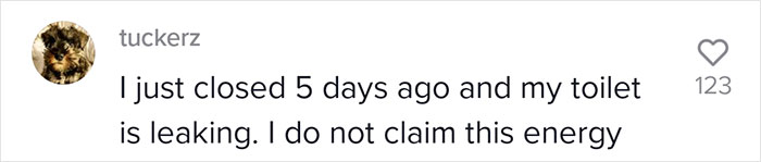 Woman Buys A House From Hell Where Random Disasters Keep Happening Which, In The End, Gets Destroyed By A Huge Tree Falling On It 