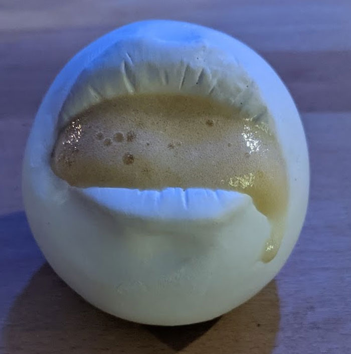 Woman Left Hungry After 27-Course Meal At Michelin-Starred Restaurant, Shares The Ridiculous Things She Was Served