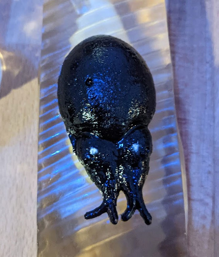 Woman Left Hungry After 27-Course Meal At Michelin-Starred Restaurant, Shares The Ridiculous Things She Was Served