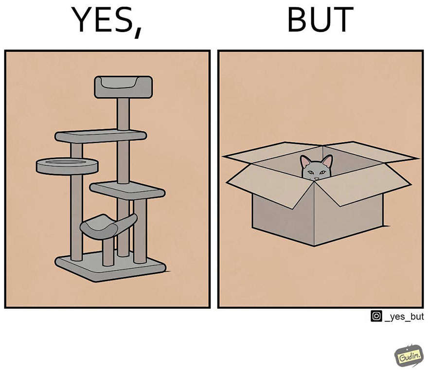 Sarcastic comic showing a cat tree with a cat in a box, highlighting society's contradictions.