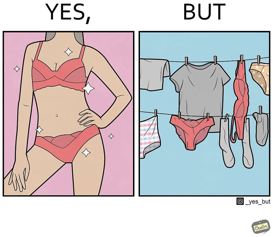 Sarcastic comic highlighting contradictory society; woman in lingerie versus clothes on a line.