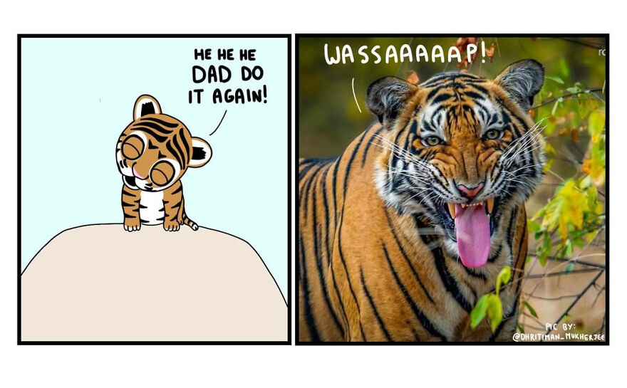 10 Comics That Show Wholesome Backstory Of These Real Animal Pictures!